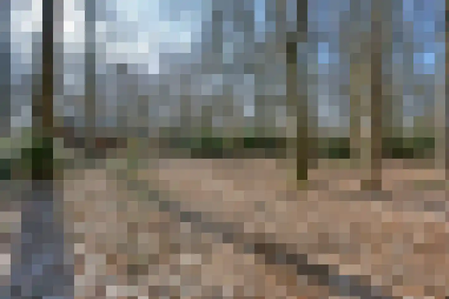 Bracamonteweg 5 Mook thumbnail 31