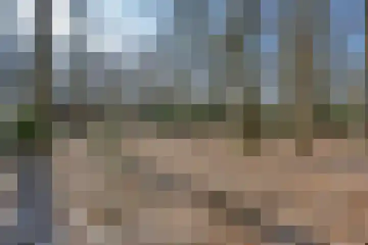 Bracamonteweg 5 Mook thumbnail 31