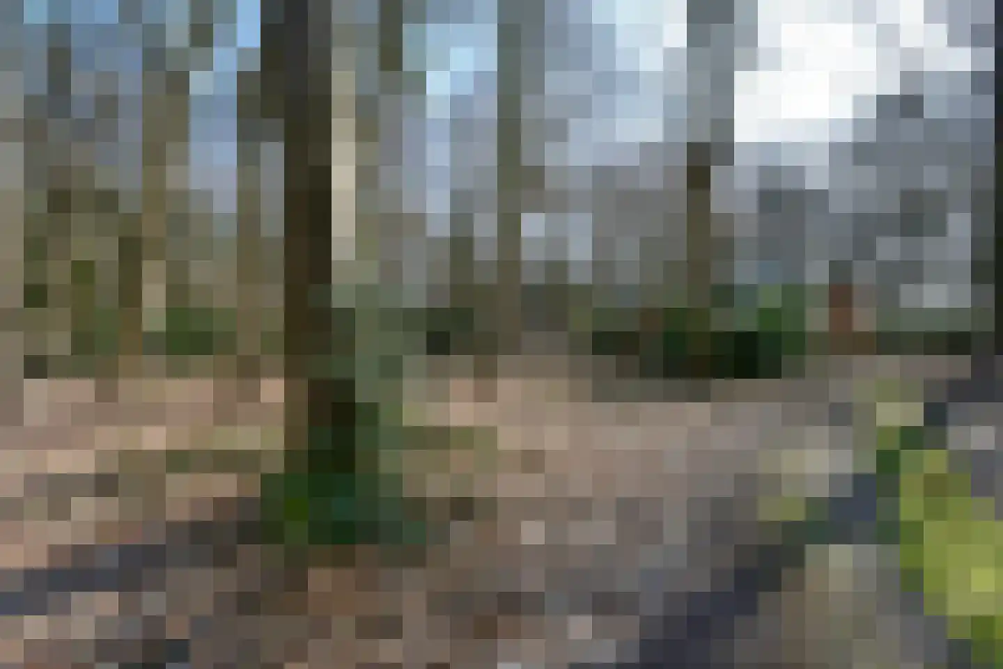 Bracamonteweg 5 Mook thumbnail 32
