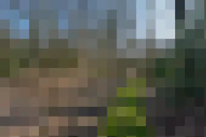 Bracamonteweg 5 Mook thumbnail 33