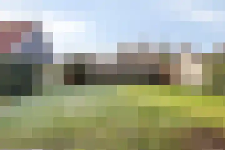 Bracamonteweg 5 Mook thumbnail 34
