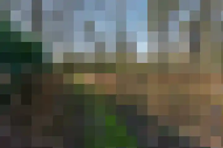 Bracamonteweg 5 Mook thumbnail 34