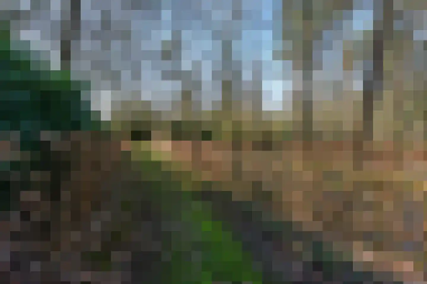 Bracamonteweg 5 Mook thumbnail 34