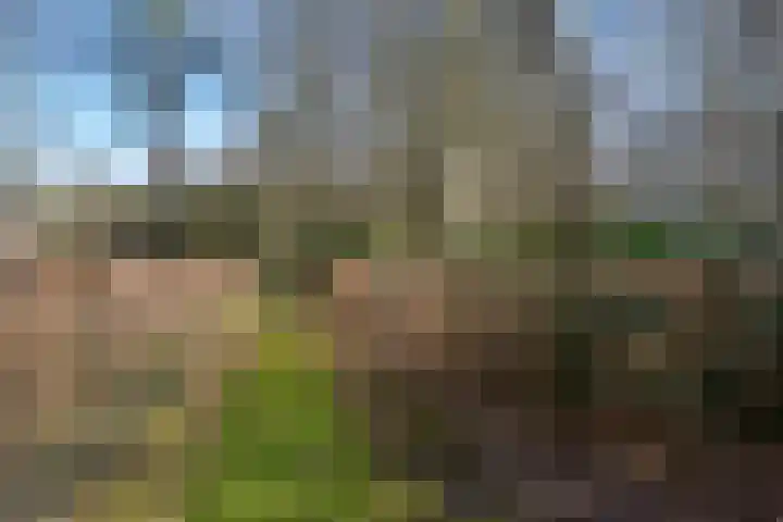 Bracamonteweg 5 Mook thumbnail 35