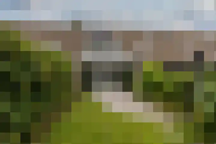 Bracamonteweg 5 Mook thumbnail 8