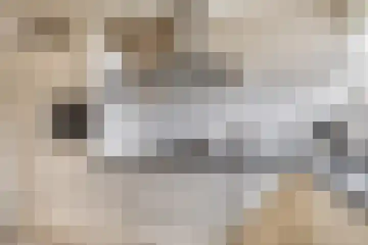 Brachterhof 20 Tegelen thumbnail 10