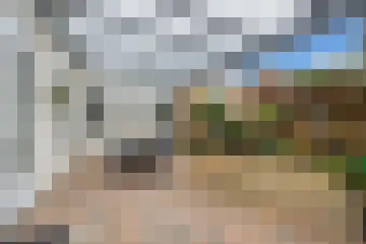 Brachterhof 20 Tegelen thumbnail 11
