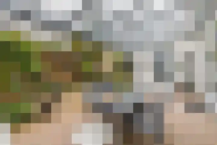 Brachterhof 20 Tegelen thumbnail 12