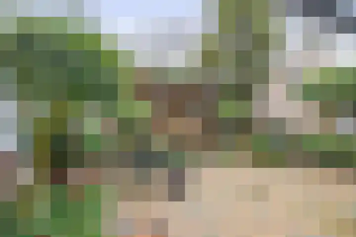 Brachterhof 20 Tegelen thumbnail 13