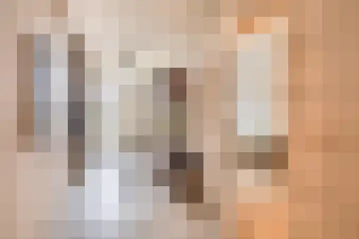 Brachterhof 20 Tegelen thumbnail 15