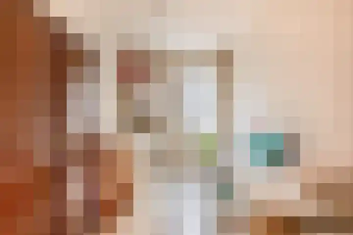 Brachterhof 20 Tegelen thumbnail 22