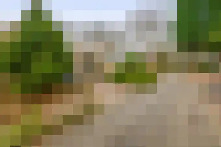 Brachterhof 20 Tegelen thumbnail 28