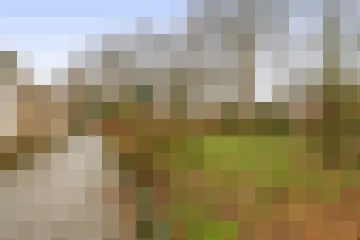 Brachterhof 20 Tegelen thumbnail 29