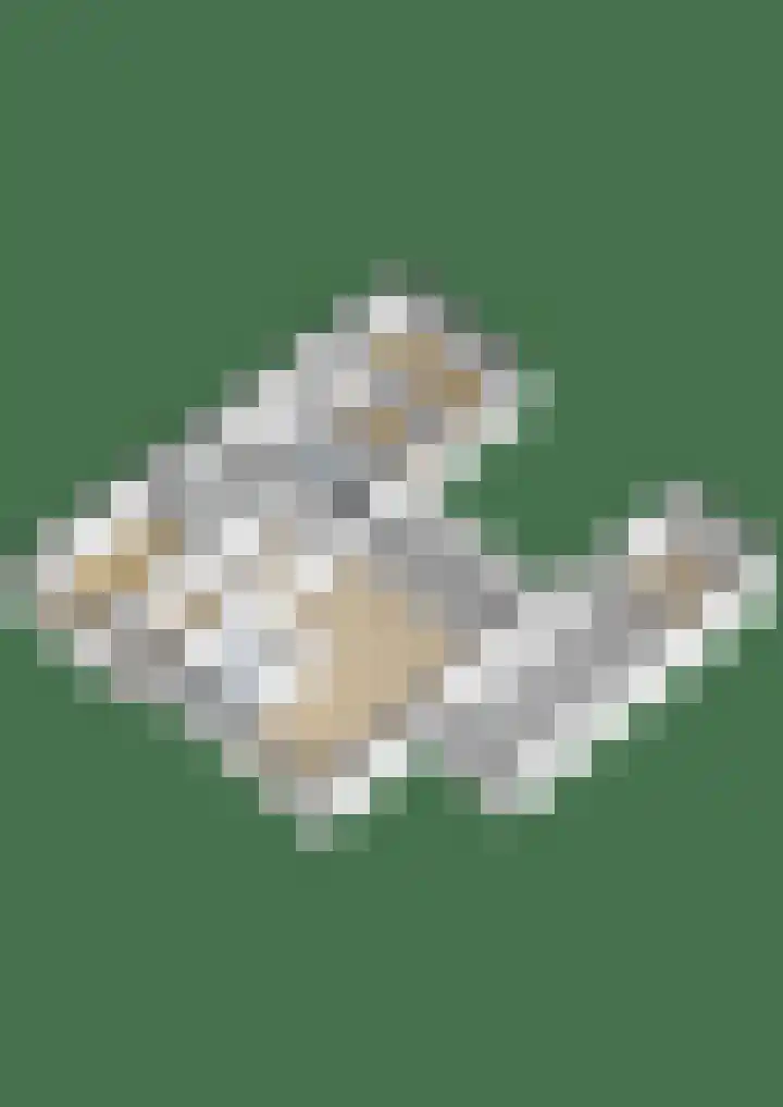 Brachterhof 20 Tegelen thumbnail 31