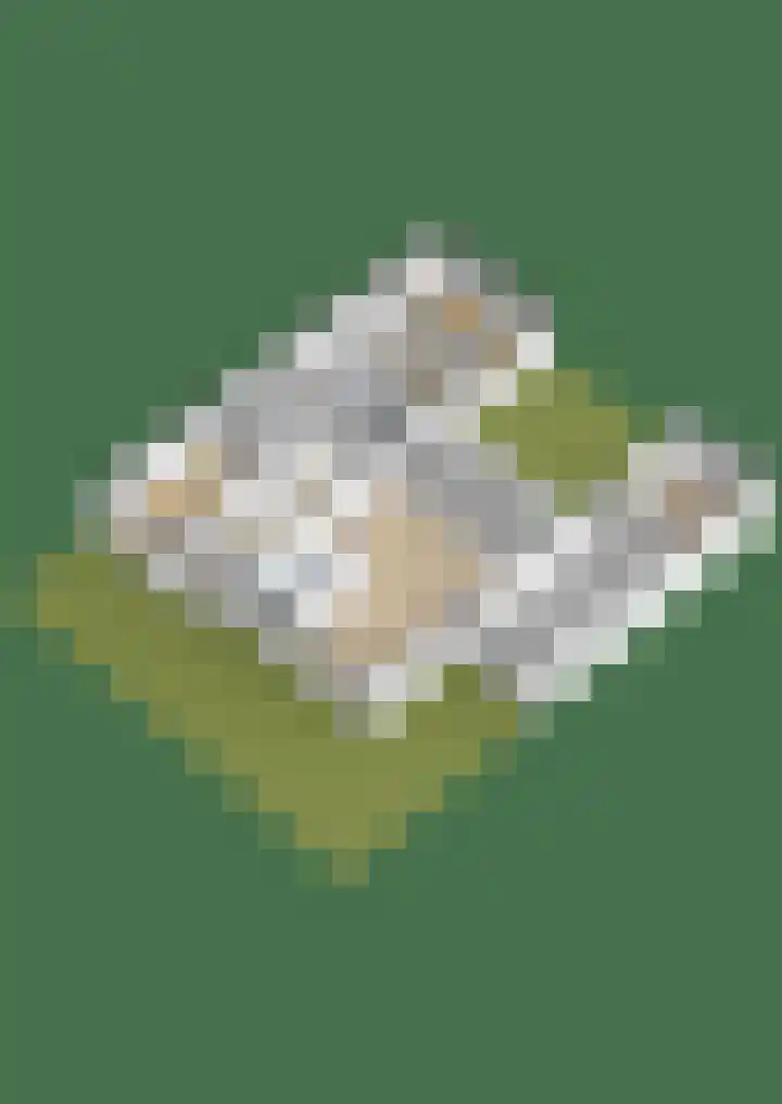 Brachterhof 20 Tegelen thumbnail 33