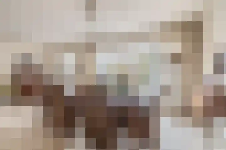 Brachterhof 20 Tegelen thumbnail 7