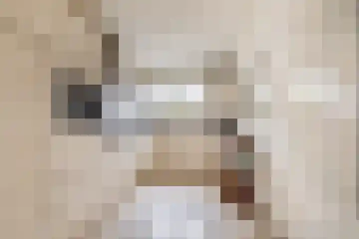 Brachterhof 20 Tegelen thumbnail 9