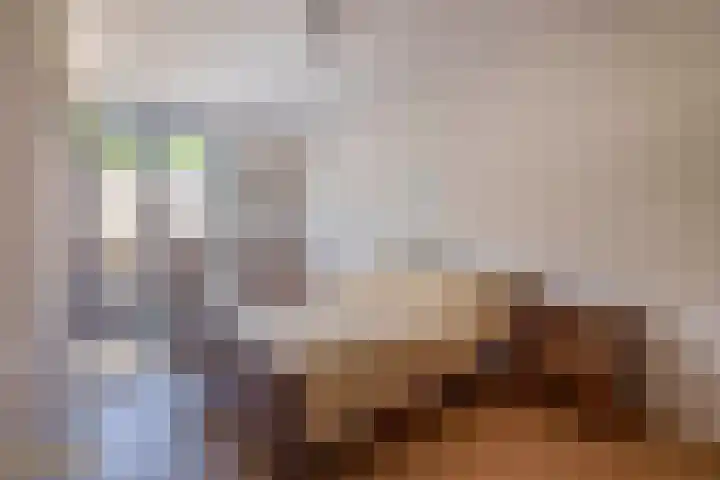 Brachterhof 56 Tegelen thumbnail 14