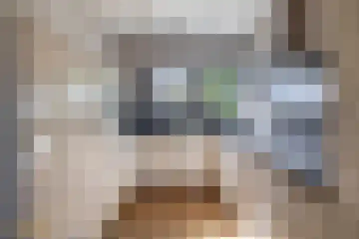 Brachterhof 56 Tegelen thumbnail 9