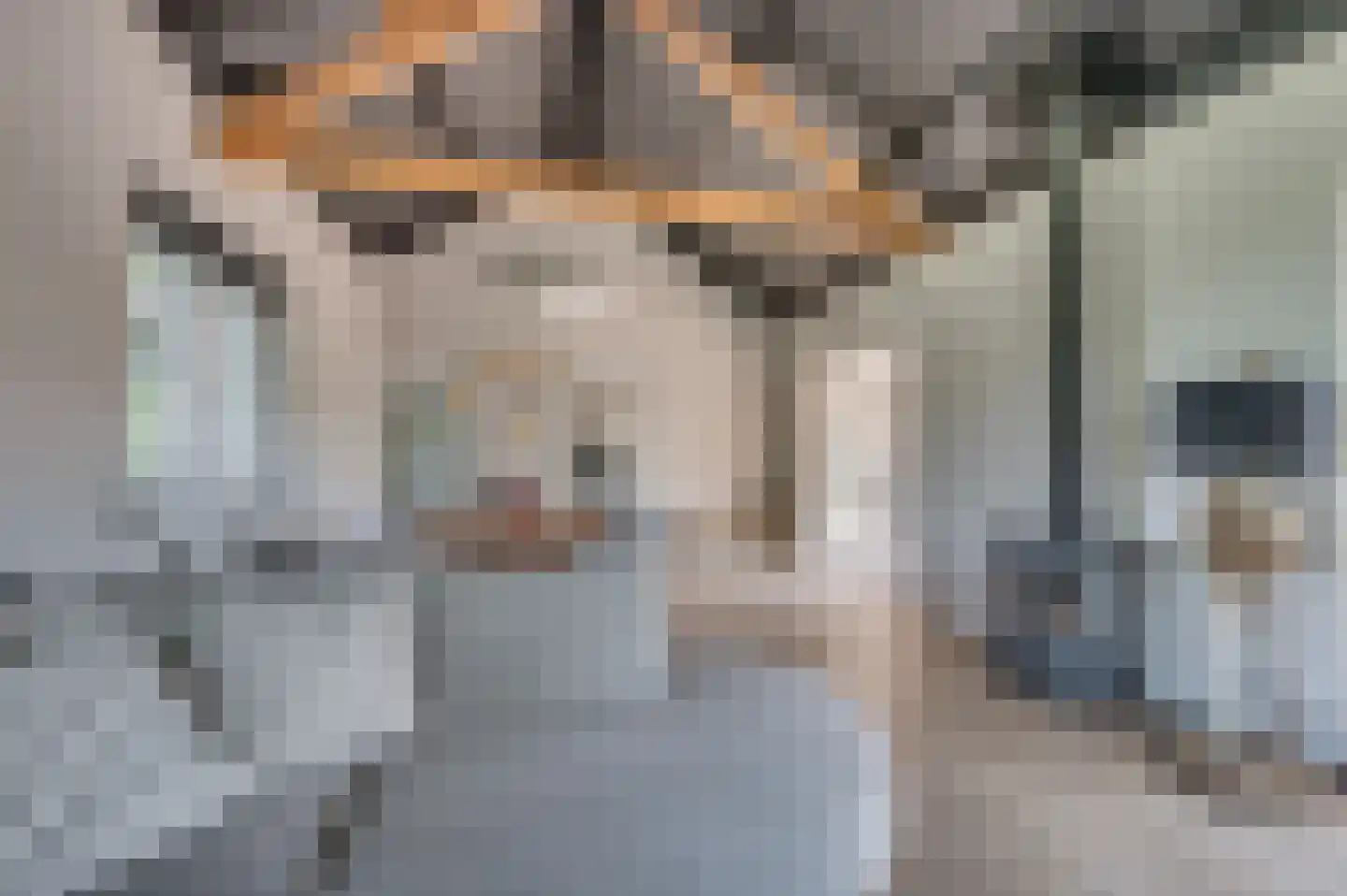 Brachterweg 3 Tegelen thumbnail 10