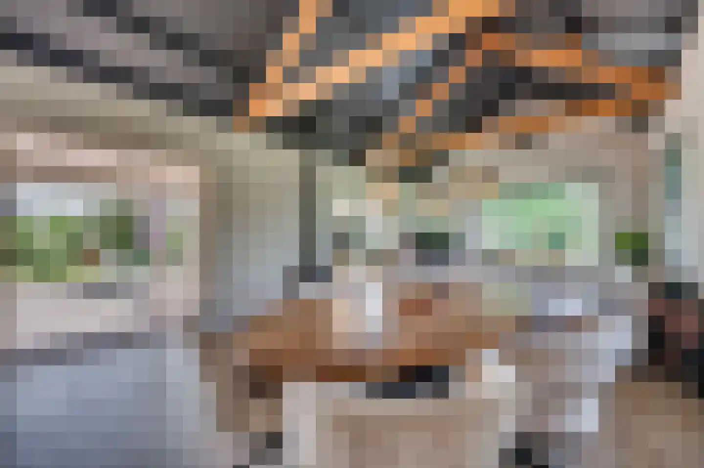 Brachterweg 3 Tegelen thumbnail 11