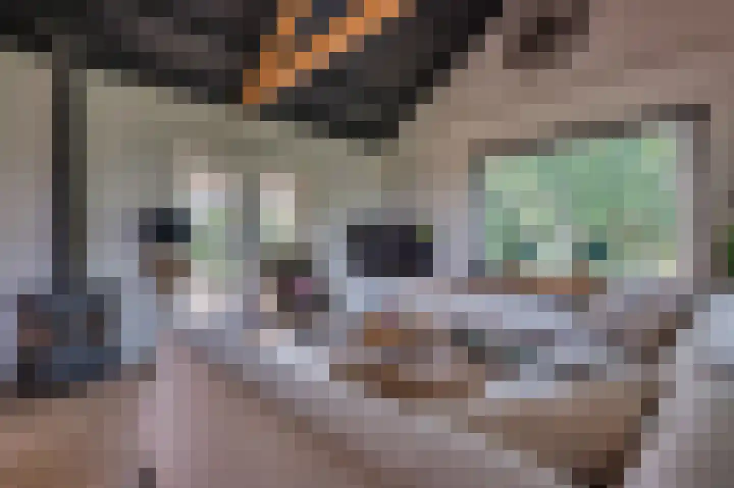 Brachterweg 3 Tegelen thumbnail 12