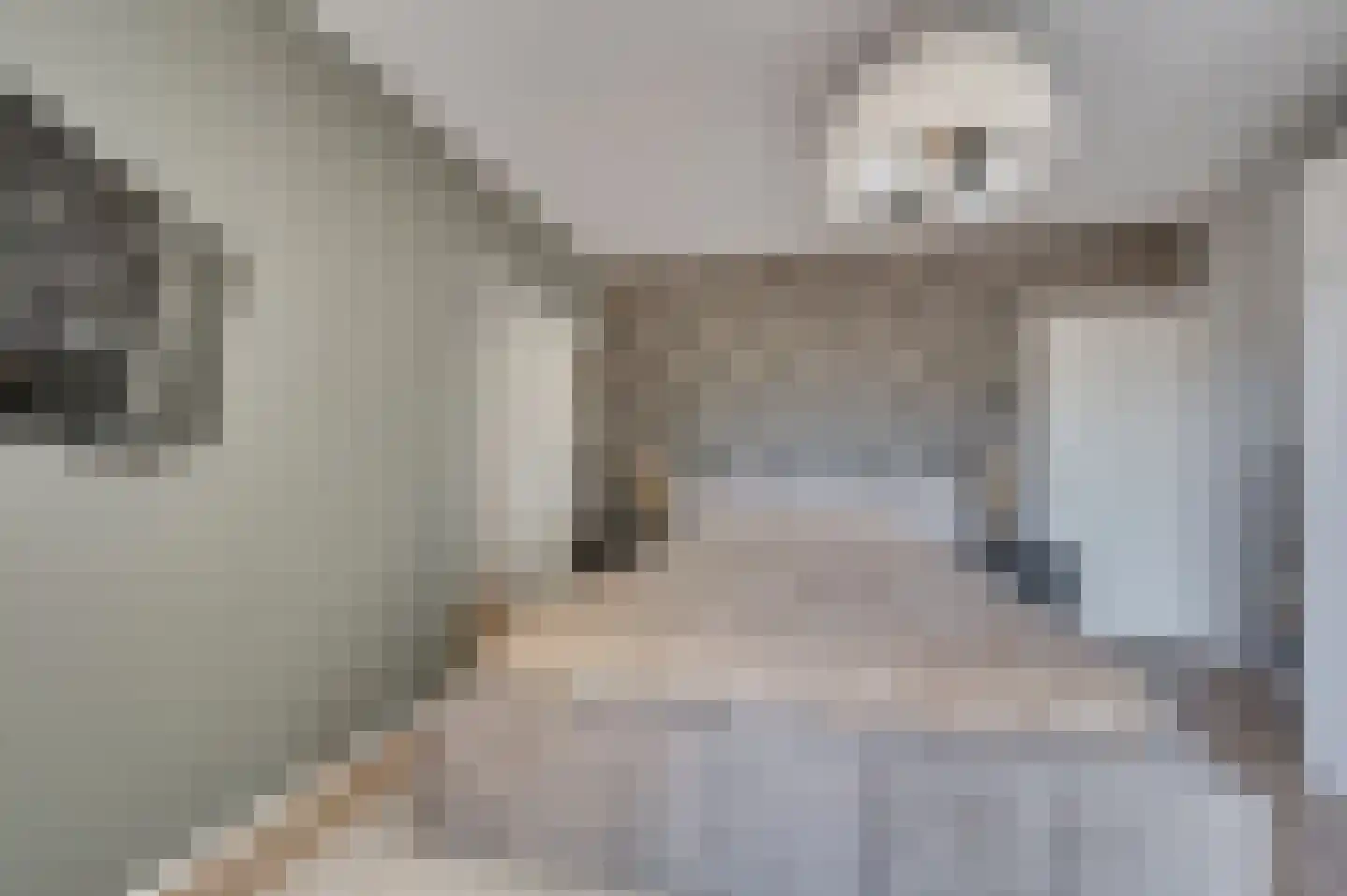 Brachterweg 3 Tegelen thumbnail 16