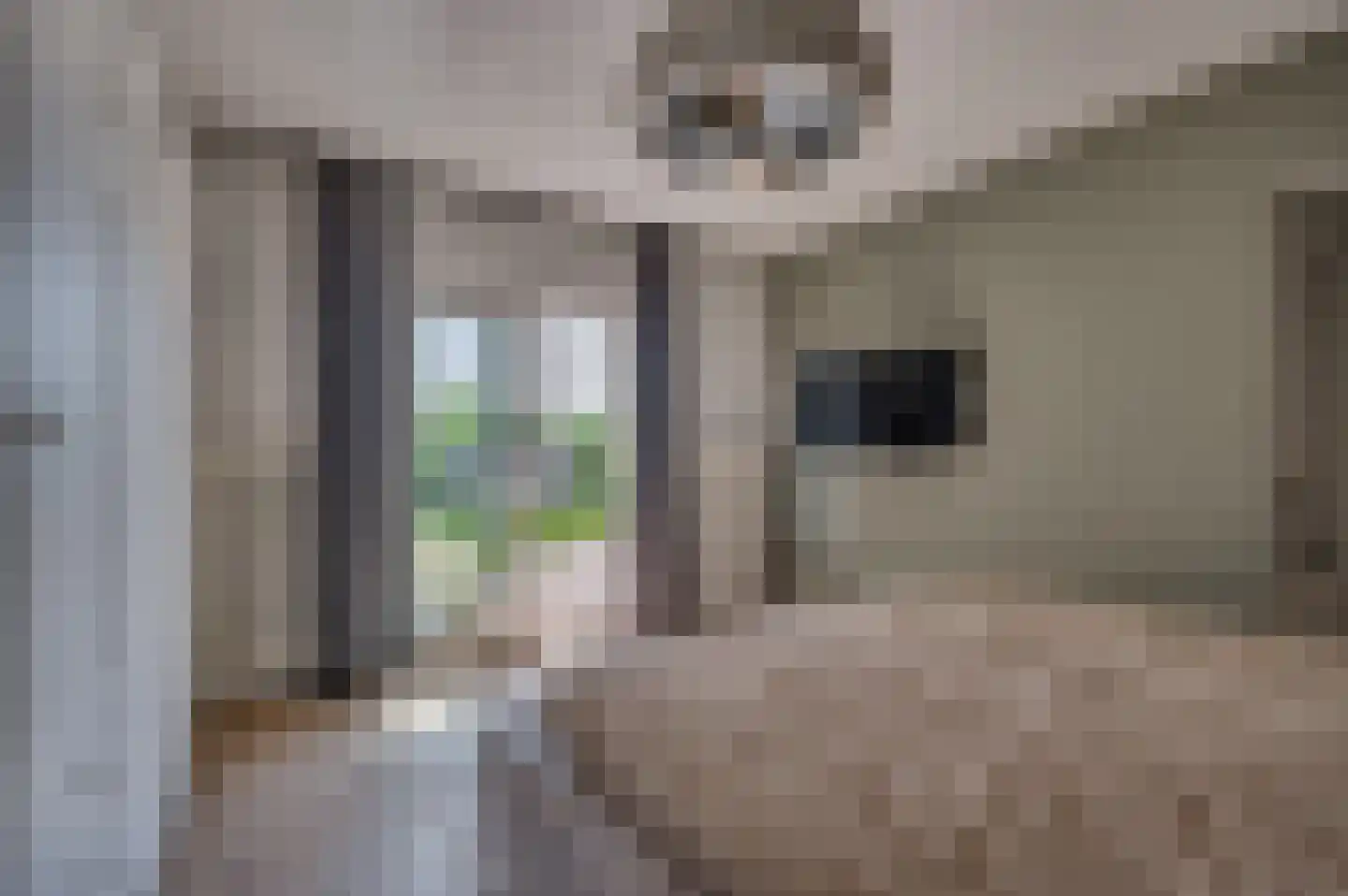 Brachterweg 3 Tegelen thumbnail 17