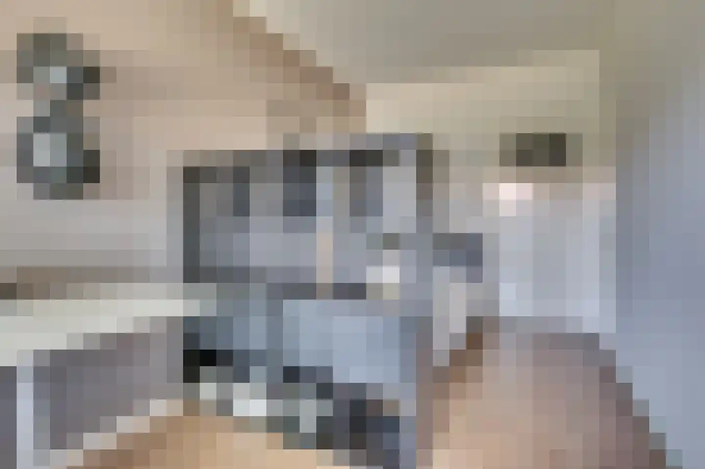 Brachterweg 3 Tegelen thumbnail 22