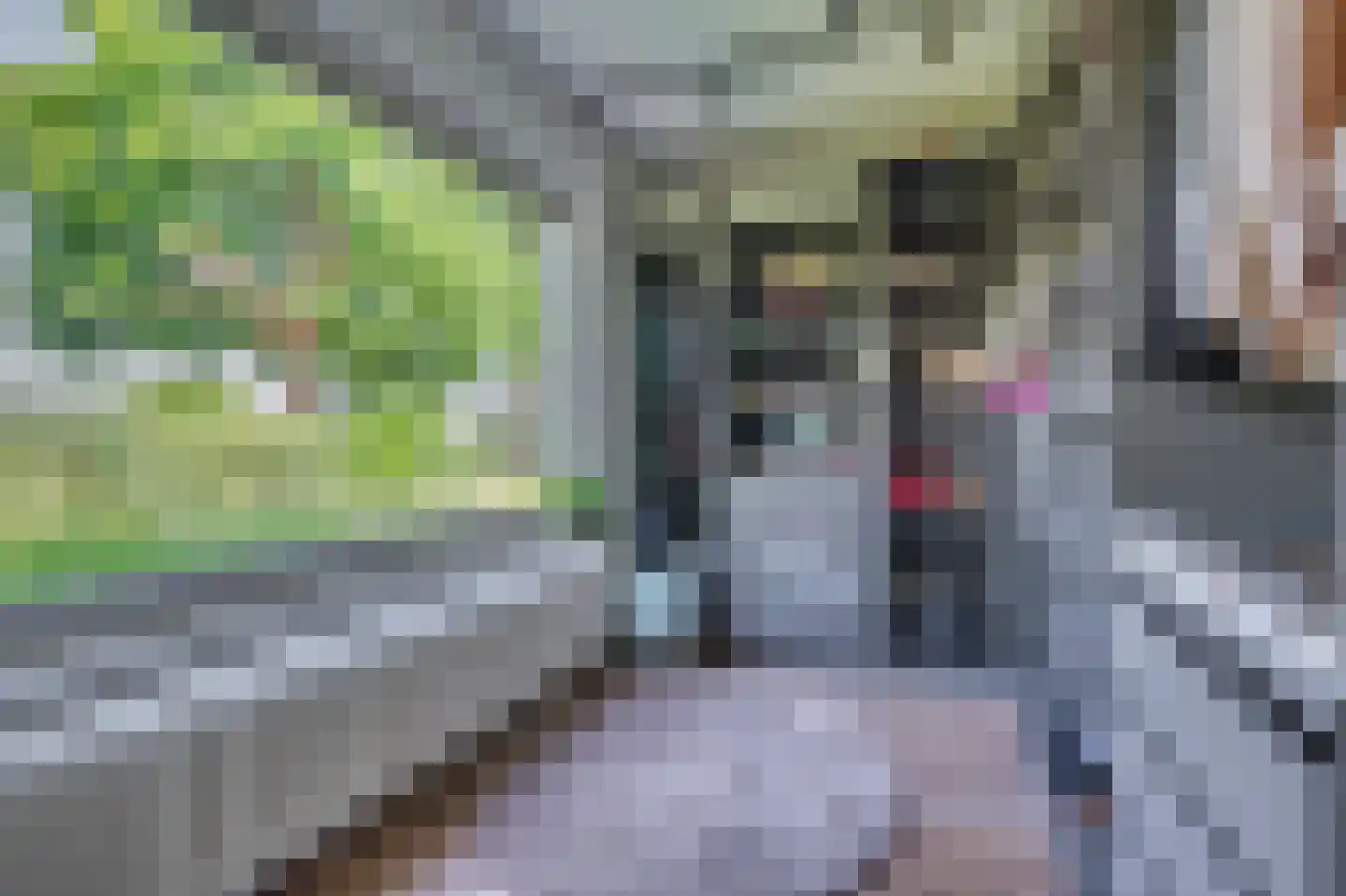 Brachterweg 3 Tegelen thumbnail 26
