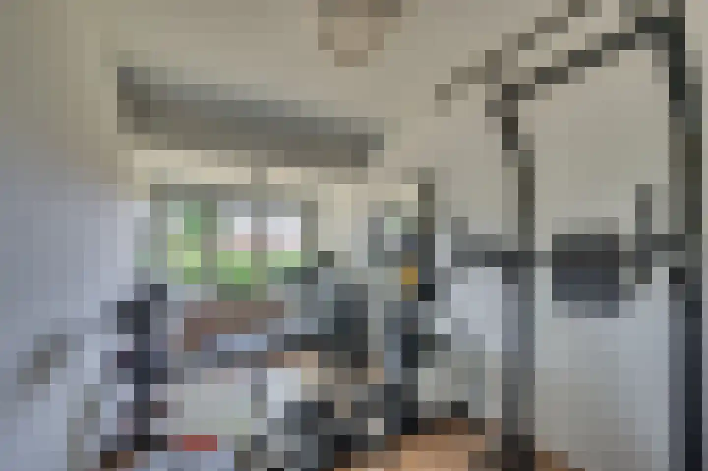 Brachterweg 3 Tegelen thumbnail 27