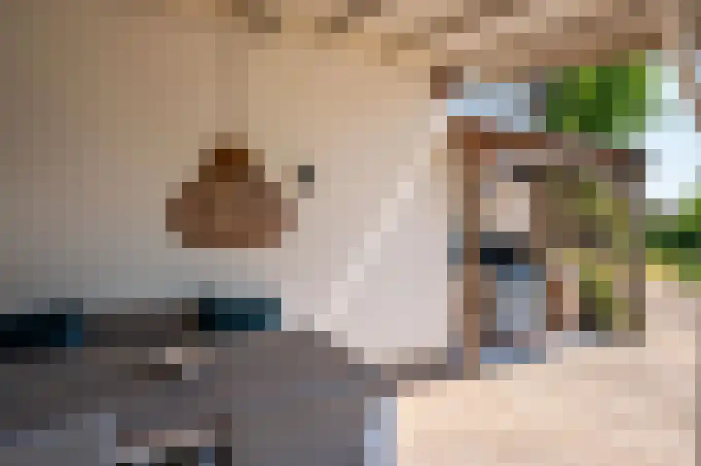 Brachterweg 3 Tegelen thumbnail 40