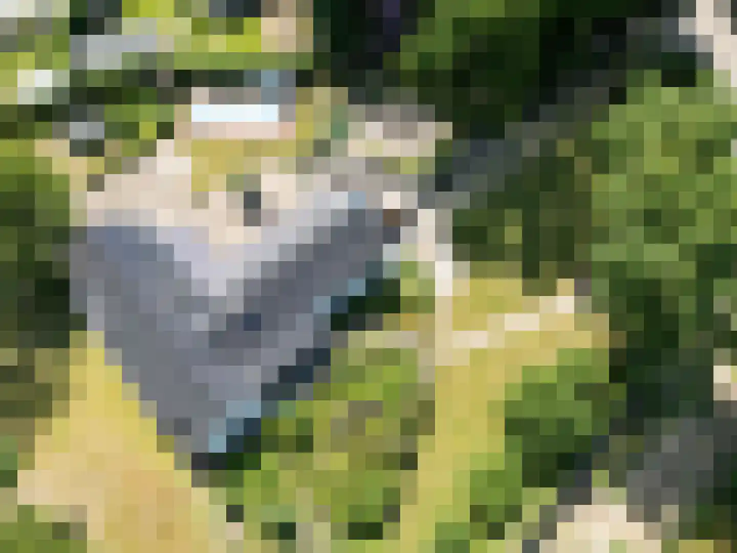 Brachterweg 3 Tegelen thumbnail 5