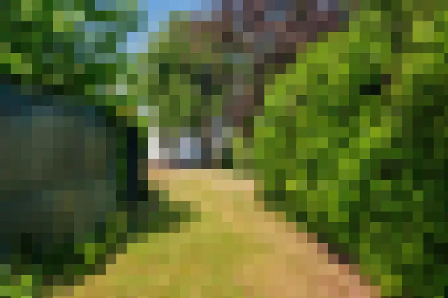 Brachterweg 3 Tegelen thumbnail 58