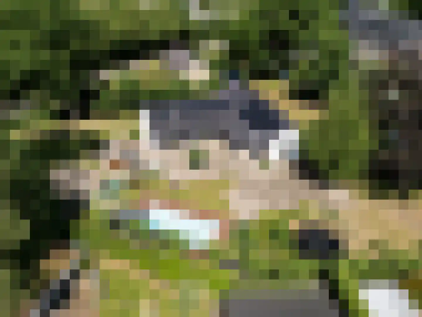 Brachterweg 3 Tegelen thumbnail 6