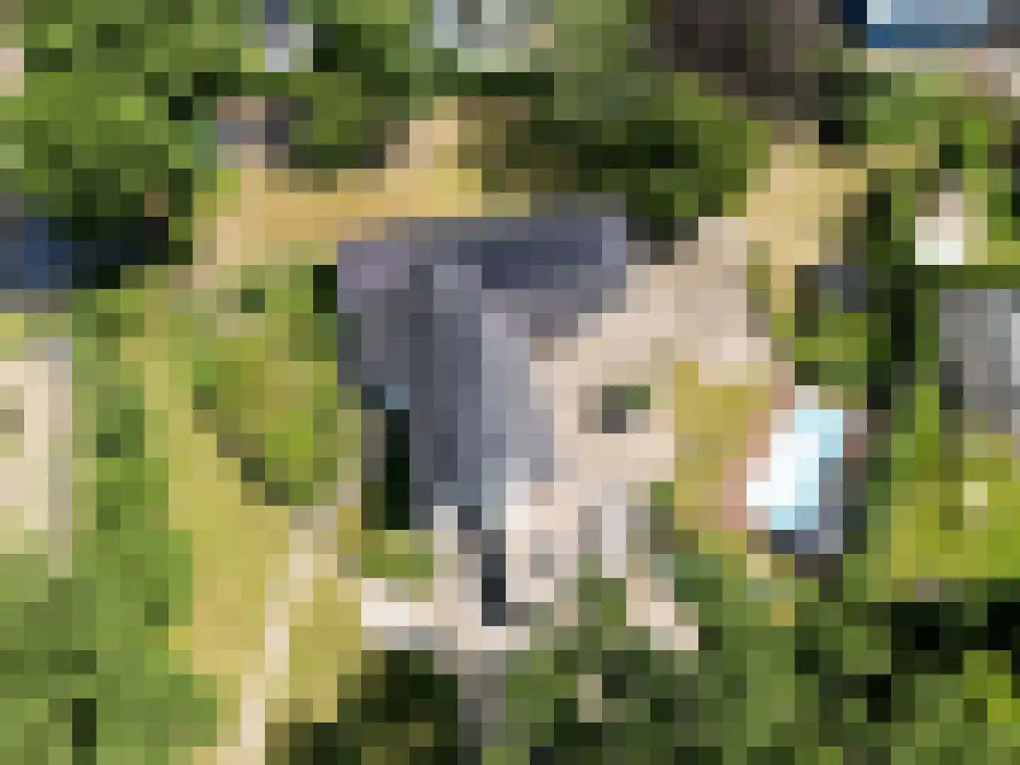 Brachterweg 3 Tegelen thumbnail 7