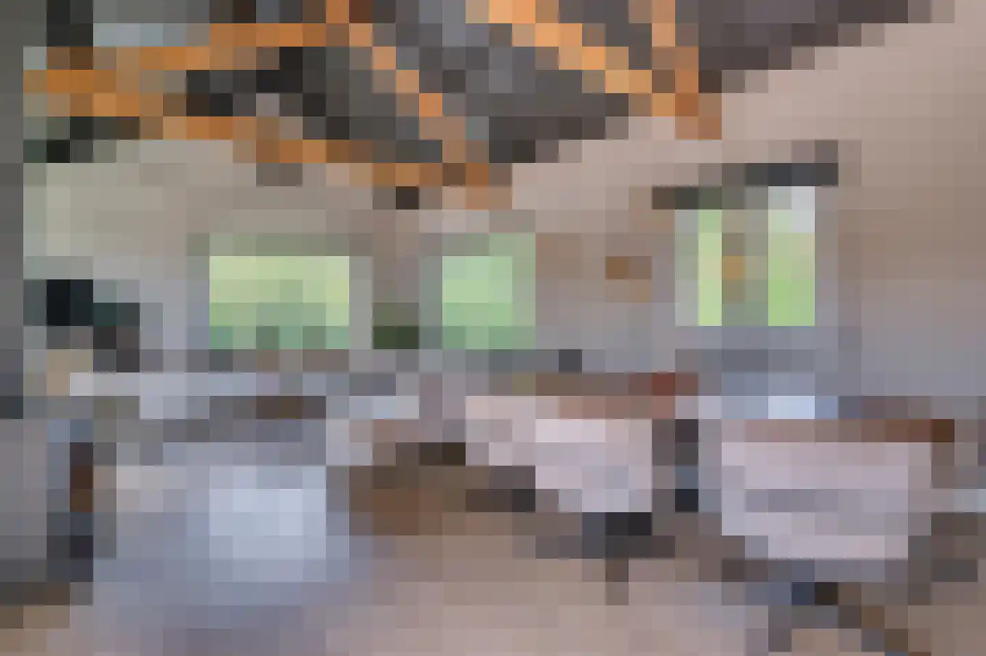 Brachterweg 3 Tegelen thumbnail 9