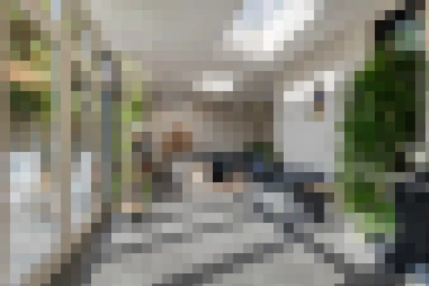 Brachterweg 38 Tegelen thumbnail 19
