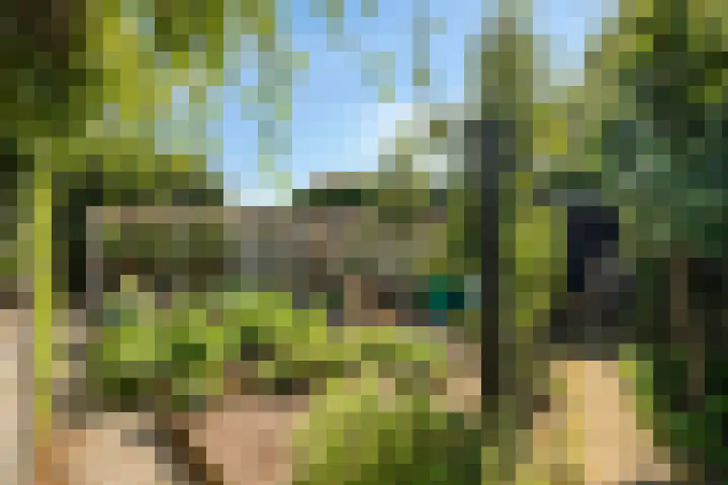 Brachterweg 38 Tegelen thumbnail 33