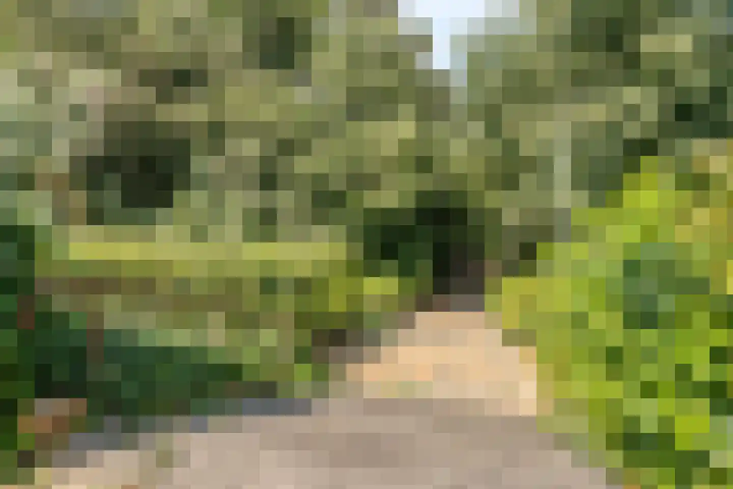 Brachterweg 38 Tegelen thumbnail 38
