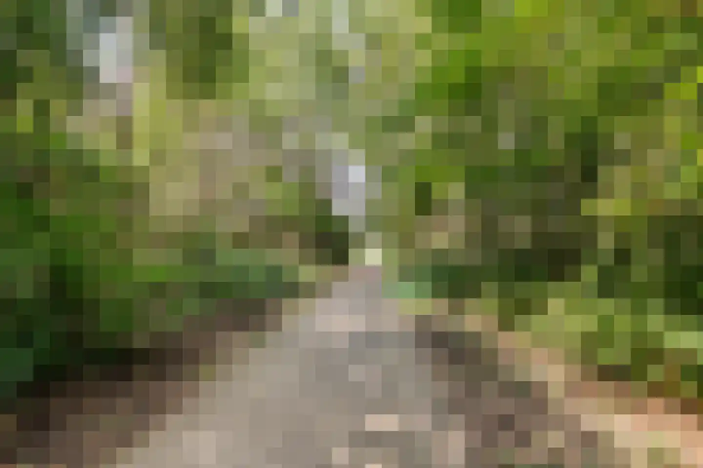 Brachterweg 38 Tegelen thumbnail 40