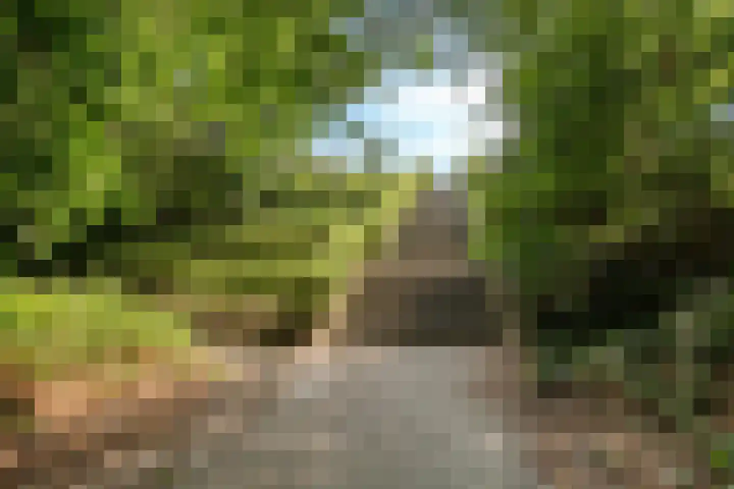 Brachterweg 38 Tegelen thumbnail 41