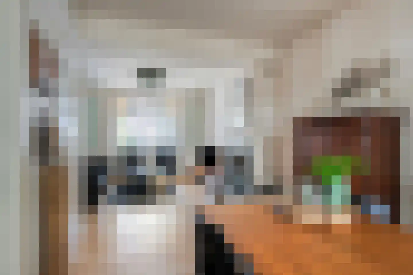 Brachterweg 38 Tegelen thumbnail 9