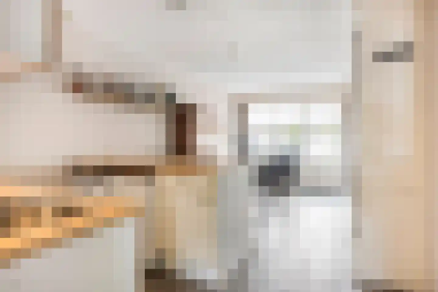 Bradleystraat 15 Dongen thumbnail 21