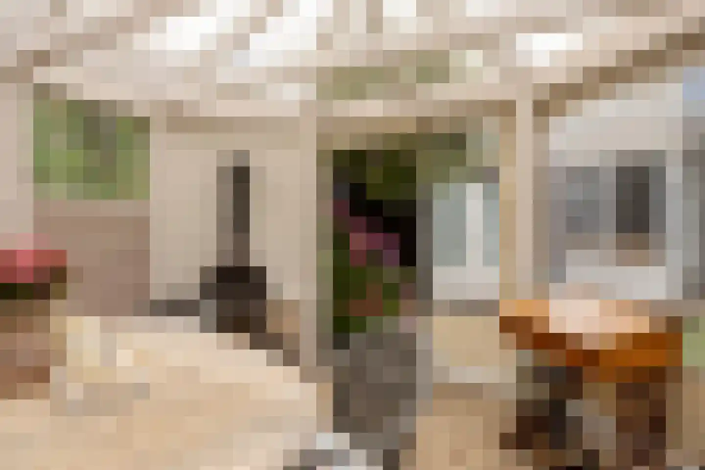 Bradleystraat 15 Dongen thumbnail 39