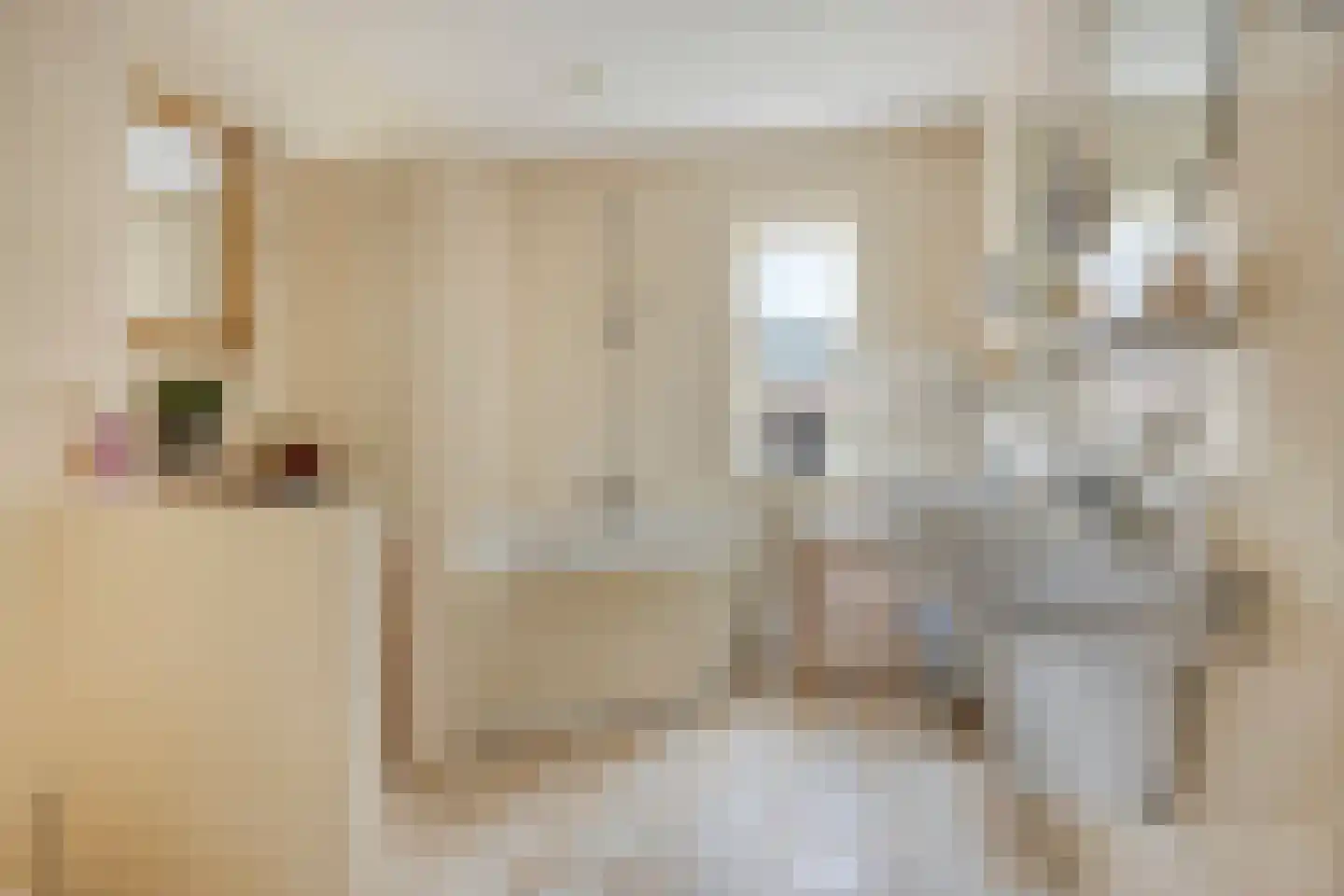 Bradleystraat 15 Dongen thumbnail 4