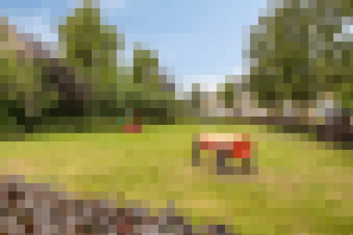 Bradleystraat 15 Dongen thumbnail 40