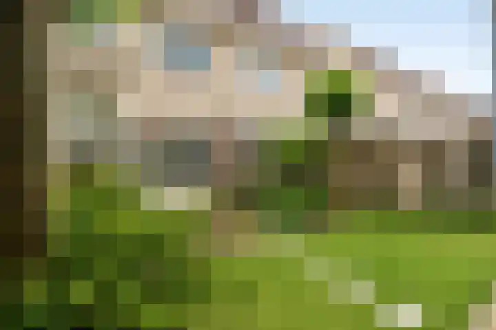 Bradleystraat 23 Dongen thumbnail 35
