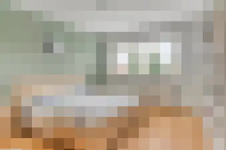 Bradleystraat 23 Dongen thumbnail 4