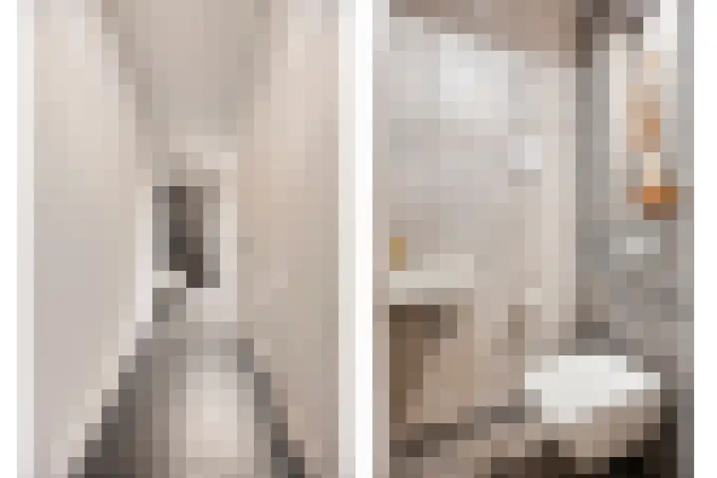 Brahmalaan 1 Barneveld thumbnail 11